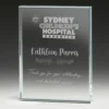 Clearview Glass Block glass award with glass