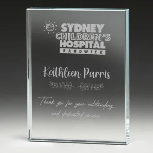 Clearview Glass Block glass award with glass
